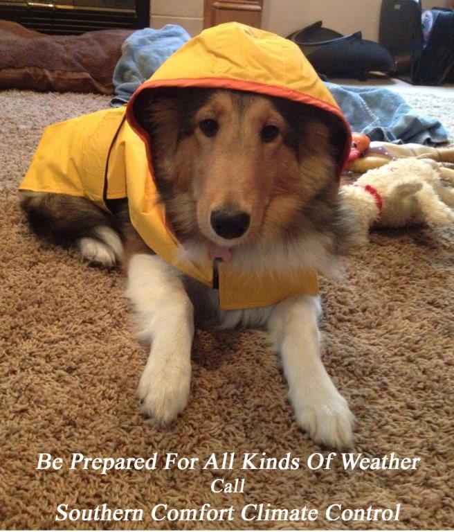 Be prepared for all kinds of weather
